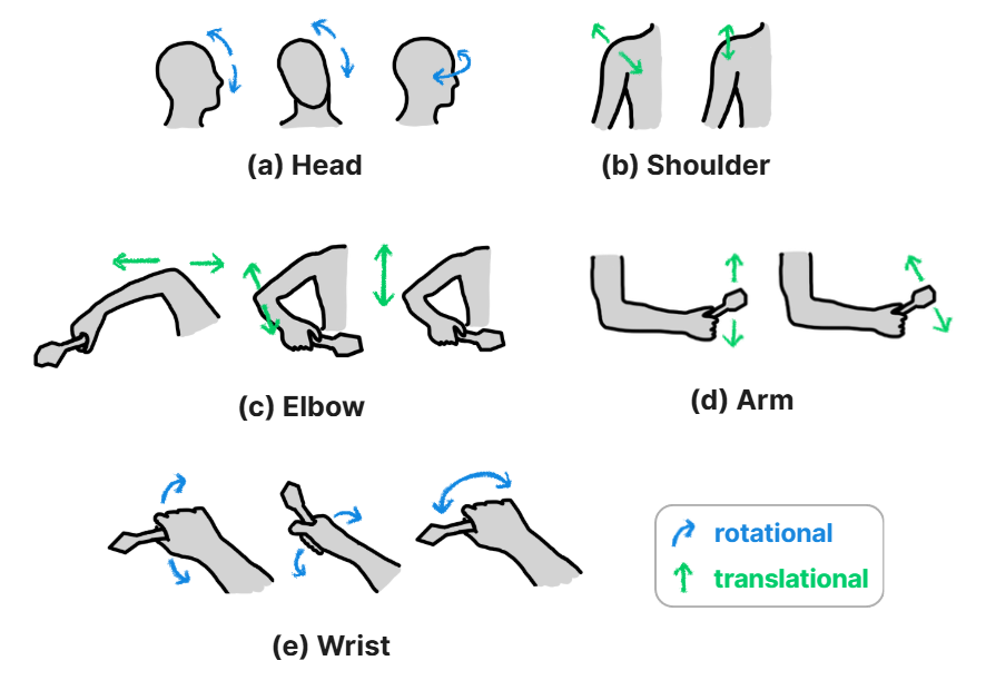 Representative articulation families elicited across upper-body regions, with arrows indicating dominant rotational and translational motion.